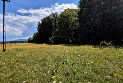 Teren 1000 mp intravilan/Sambata de Sus Brasov - 9