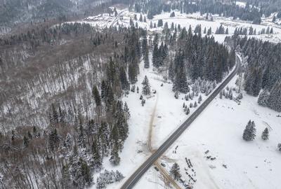 Teren premium pentru dezvoltare de lux – Drumul Poienii, Brasov - 24