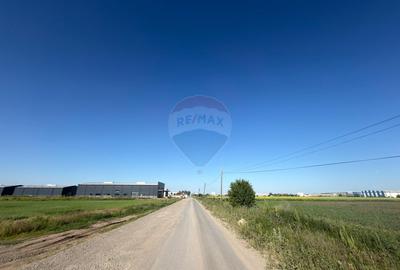 Teren 10.555mp Clinceni /Str.Drumul Mare -850 m până la Sos de Centură - 9