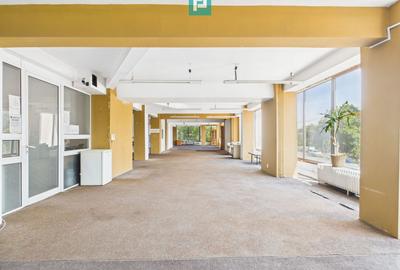 Spațiu comercial, de 343 mp, în Aradului