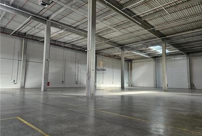 Spatiu Industrial - 4300 mp - Logistica - Productie - Depozitare - Distributie - 8