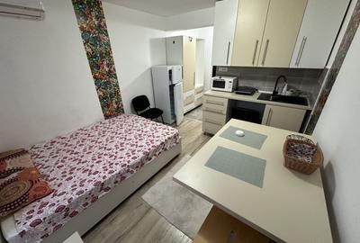 Apartament 1 camera la Mansarda - 4