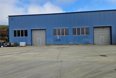 Spatiu Industrial - 1000 mp - Depozitare - Distributie - 1