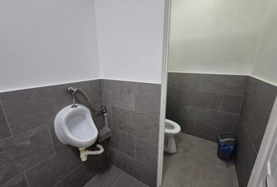 Casa de vacanta / spatiu comercial de vanzare – Frumusani - 17
