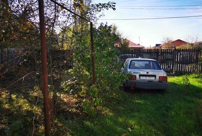 Teren Generos cu Casa in Gruiu - Snagov - 3