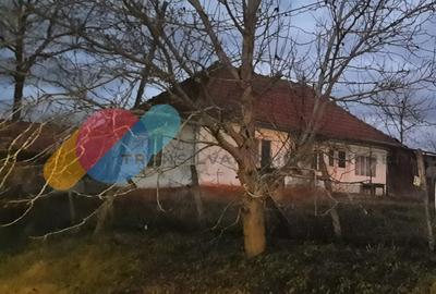 Casa individuala 1 camera, 51 mp, 3000 mp teren, Geaca - 1