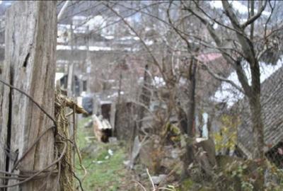 Teren intravilan 2.194 mp, VALCEA, BREZOI - 4