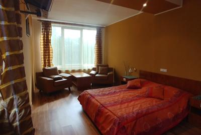 Vila/Pensiune,casa administrator,teren plat 2000Mp - 11