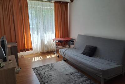 Teiul Doamnei - Garsoniera bloc mixt - 4