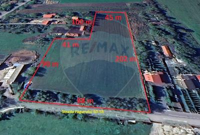 Teren intravilan, 13000 mp, Stupini - 1