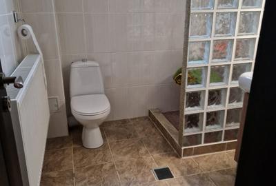 Casa P+M situata in Catamarasti Deal /Depozitul de flori , mobilata - 6