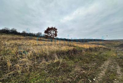 Teren intravilan de vanzare pentru dezvoltare imobiliara, Saldabagiu de Munte - 5
