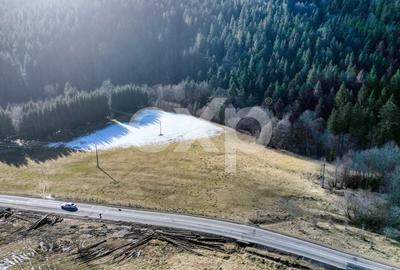 Teren extravilan 19.200 mp – DN1A Săcele, Brădet | Front stradal 130 ml - 11