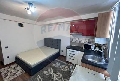 Apartament cu 1 camere nedecomandat, mobilat în Săsar