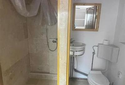 Metrou Timpuri Noi, garsoniera moderna in vila - 5