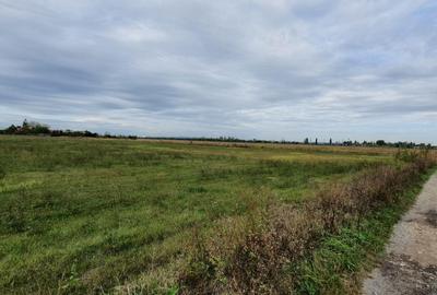 PLOIESTI zona de Centura - intravilan industrial 23500 mp la 7 eu/mp - 5