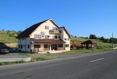 Pensiune 8 camere Vama Oancea,DN-26 si 14 hect teren compact irigabil - 1