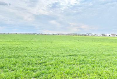 Teren intravilan 4657 mp, deschidere 30 ml, Ostratu, strada Lotusului - 5