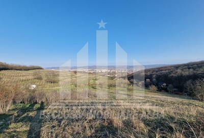 Teren Construcții intravilan de 1808 mp, în Cetate