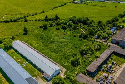 Închiriez Teren Industrial 9.335 mp – Teliu, Brașov (DN10) – Acces TIR - 7