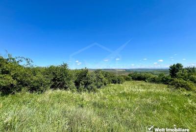 Oportunitate investitie, Chinteni, zona Macicas 31.600 MP - 8