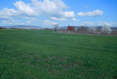 Teren in zona Sopor - 3