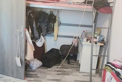 Colentina, Baicului, Lidl, Stolnicul Vasile, semistradal - 2