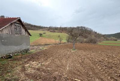 CASA CU TEREN 2846 MP | COMUNA ASTILEU | SAT CALATEA - 22