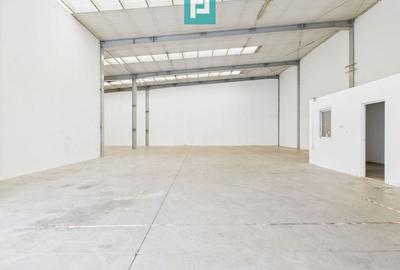 Spațiu industrial de 378 mp în Arad - 10