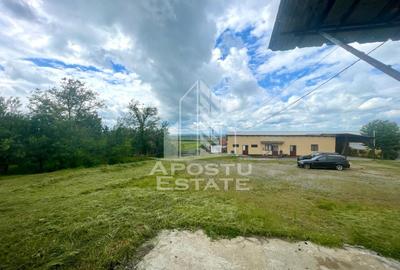 Spatii productie si depozitare, zona Sebis - Prunisor-Carand - 8