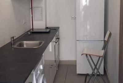Apartament 2 camere mansardat Calea Calarasilor cu gradina A10 - 4