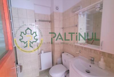 Garsonierea Turnisor - Alma  et. 5 bloc cu lift - 7