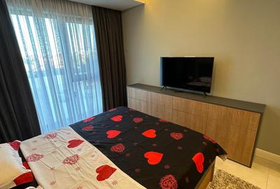 Apartament cu doua camere in zona Palazu Mare mobiliat /utilat nou - 11