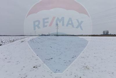 Teren 5460mp Brasov-Stupini / Strada Plaiului - 12