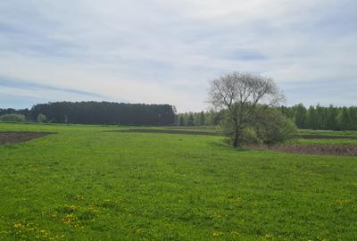 TEREN EXTRAVILAN - 2.100 mp - RECI - 5