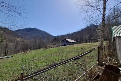 Casa de Vacanta Lepsa - 16