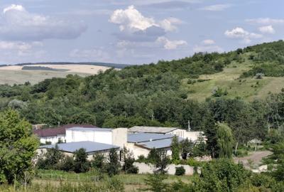 Teren+Hala Soseaua Bacaului-Vaslui 22.000mp - 1