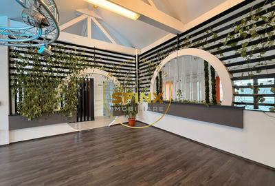 Cladire multifunctionala – sediu business , 1160 mp, garaj 11 masini, Cotroceni - 9