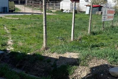 TEREN 1000 MP DE INCHIRIAT LA  STRADA PRINCIPALA IN CASIN - 1