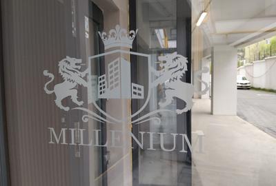 Spații comerciale & birouri premium, de închiriat –complex Millennium, Păcurari - 6