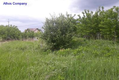 Teren Tartasesti - 1