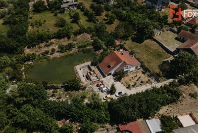 Casa individuala cu 8 camere si lac cu pesti, teren 4424 mp - Jebel - 32