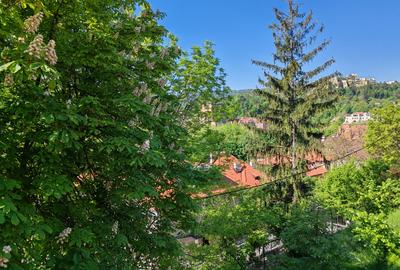 Apartament 3 camere liber la vanzare zona Colinei - 9