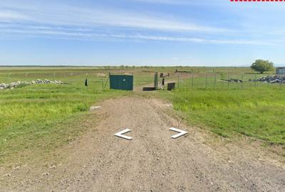 Vindem 10 Ha teren,fosta livadă de afine,Sintea Mare,Arad Oportunitate Unica - 3