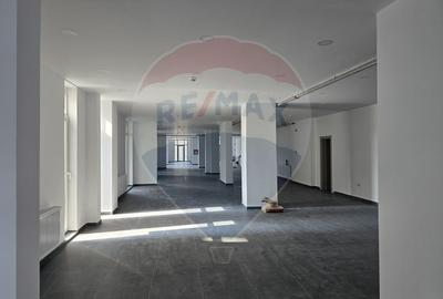 Închiriere Spațiu Comercial 400 mp Open Space Vitan Barzesti - 5