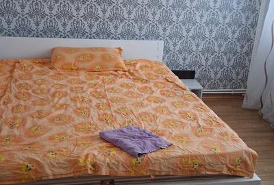 Apartament cu 2 camere semidecomandat, mobilat în Podu Roș