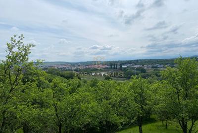 Teren de vânzare în Cisnădioara, aproape de cetate, cu priveliște superbă - 10