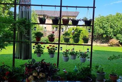 Vanzare Casa/Villa 6 camere 3 bai 3 wc -uri Dobroiesti 0% Comision - 43