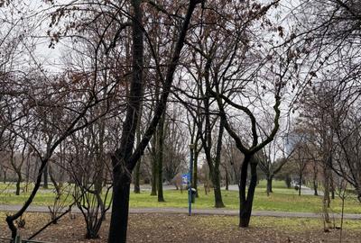 PARCUL CIRCULUUI-STR. JUDETULUI, BD. LACUL TEI - 1