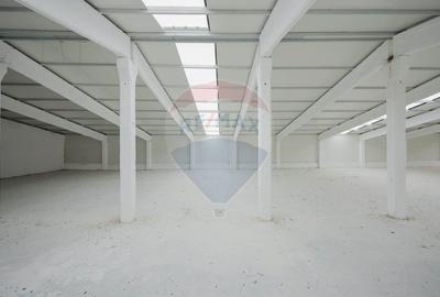 De vânzare – 2 hale industriale, 5.050 mp utili, Palota - 7